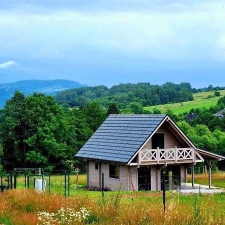 Domek Pod Ostoja Gory Sowie Lomnica  Luaran gambar