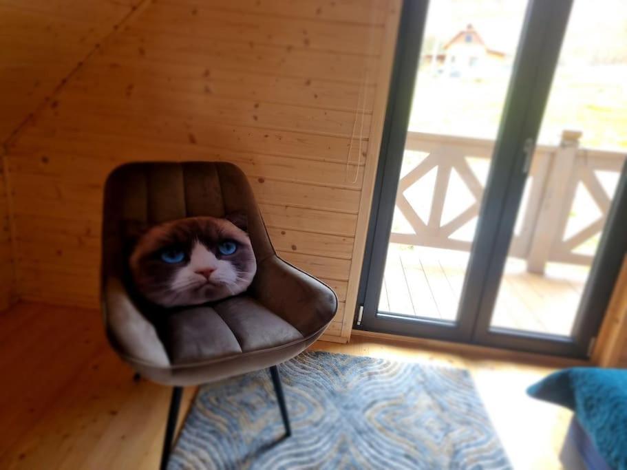 Domek Pod Ostoja Gory Sowie Lomnica  Luaran gambar